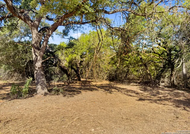 2nd image of 817 Rutherford, Fischer, TX 78623 | MLS# 1914986