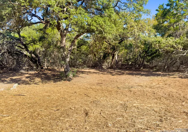 3rd image of 817 Rutherford, Fischer, TX 78623 | MLS# 1914986