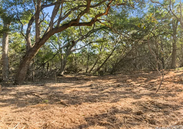 4th image of 817 Rutherford, Fischer, TX 78623 | MLS# 1914986