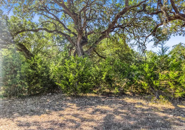 Photo 4 of Sale Pending at 1043 Long Holw, Canyon Lake, TX 78133 | MLS# 1914991 | Listing updated on 2025-12-27