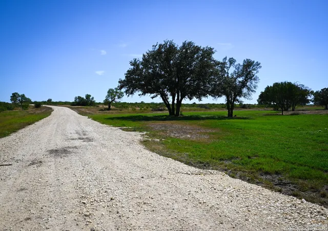 Photo 4 of Land for sale at Lot 24 County Road 2500, Bigfoot, TX 78005 | MLS# 1915298 | Listing updated on 2026-08-04
