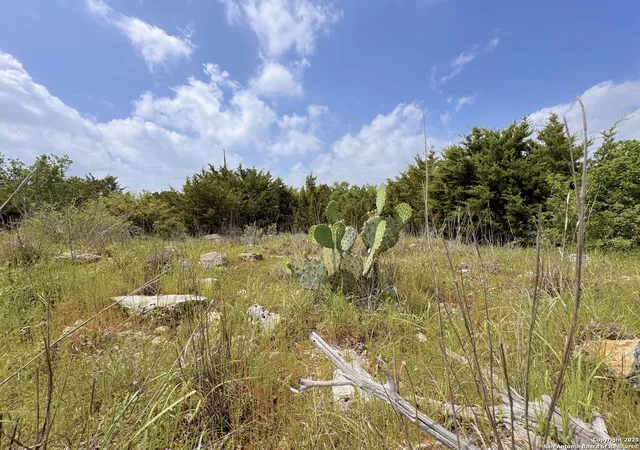 Photo 2 of Sale Pending at Tbd Lot 3 Royal Eagle, Fischer, TX 78623 | MLS# 1915558 | Listing updated on 2026-09-01