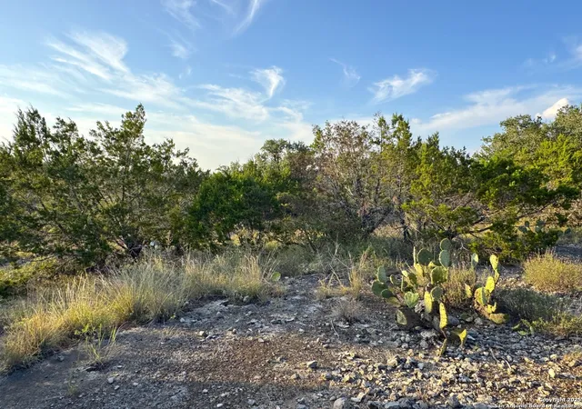Photo 3 of Sale Pending at Tbd Lot 3 Royal Eagle, Fischer, TX 78623 | MLS# 1915558 | Listing updated on 2026-09-01