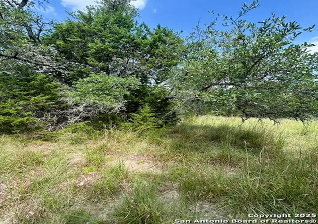 Photo 3 of Sale Pending at Tbd Lot 3 Royal Eagle, Fischer, TX 78623 | MLS# 1915558 | Listing updated on 2026-09-01