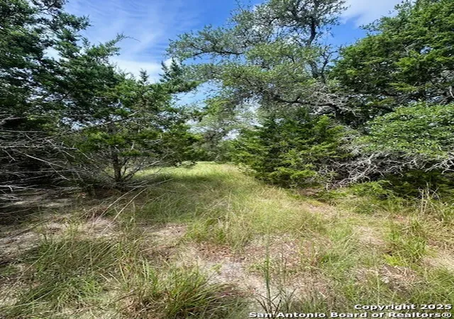 Photo 4 of Sale Pending at Tbd Lot 3 Royal Eagle, Fischer, TX 78623 | MLS# 1915558 | Listing updated on 2026-09-01