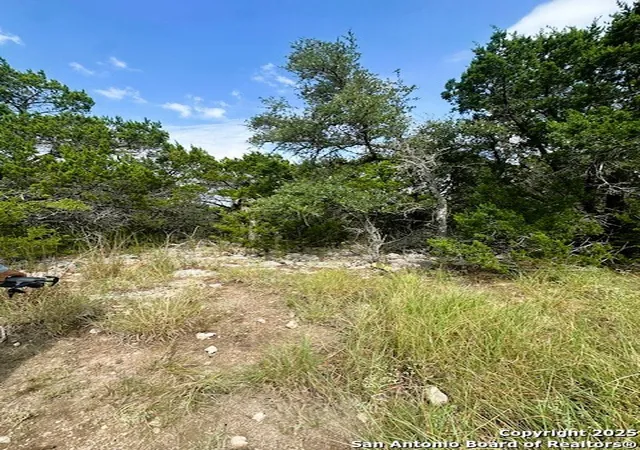 Photo 3 of Land for sale at Tbd Lot 4 Royal Eagle, Fischer, TX 78623 | MLS# 1915560 | Listing updated on 2026-08-09