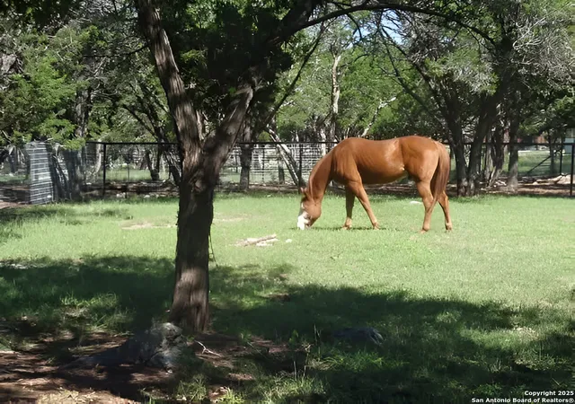 Photo 3 of Sale Pending at 1290 Hidden Oaks, Bulverde, TX 78163 | MLS# 1915869 | Listing updated on 2026-02-16