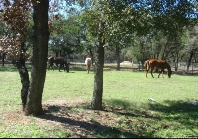 Photo 3 of Sale Pending at 1290 Hidden Oaks, Bulverde, TX 78163 | MLS# 1915869 | Listing updated on 2026-02-16