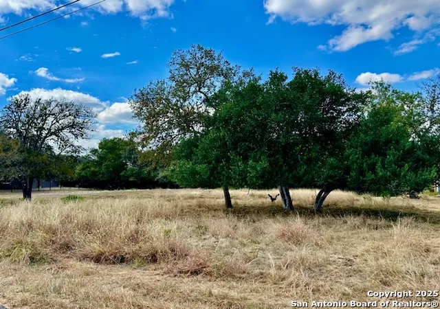 Photo 3 of Land for sale at 8423 Rochelle Rd, San Antonio, TX 78240 | MLS# 1916701 | Listing updated on 2026-08-01