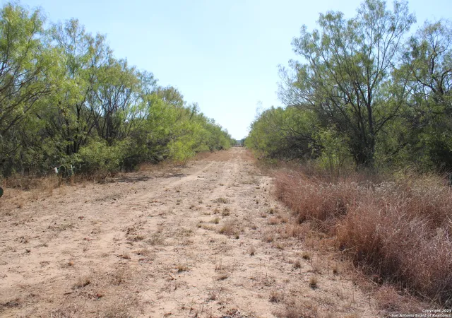 28th image of 12417 Fm 2779, Moore, TX 78057 | MLS# 1916747