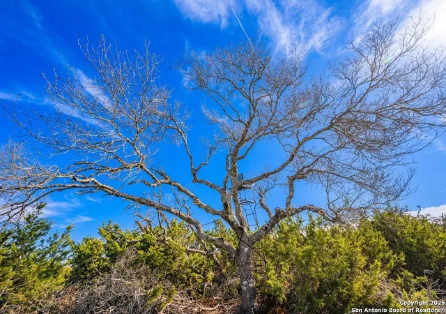 Photo 2 of Land for sale at 00 Zenner Ahrens Rd, Fredericksburg, TX 78624 | MLS# 1917054 | Listing updated on 2025-10-21