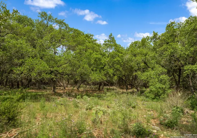 Photo 3 of Sale Pending at 25139 Callaway, San Antonio, TX 78260 | MLS# 1917156 | Listing updated on 2026-03-12