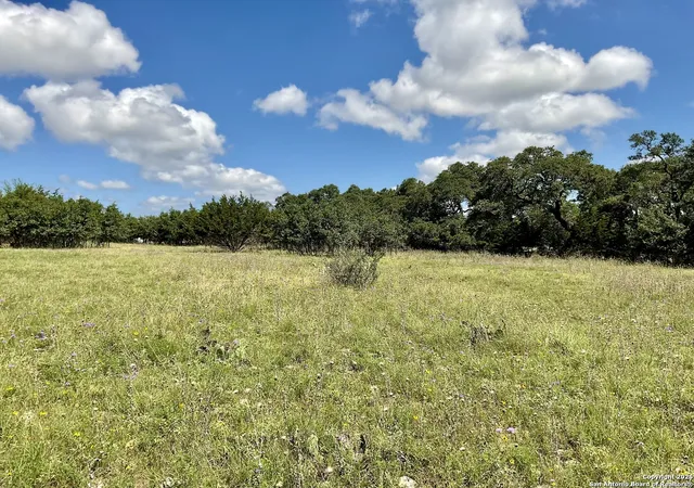 1st image of 105 Steve Baker, Blanco, TX 78606 | MLS# 1917163
