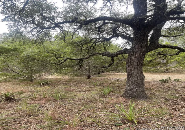 Photo 3 of Land for sale at 681 Canyon Circle, Canyon Lake, TX 78133 | MLS# 1917682 | Listing updated on 2025-11-06