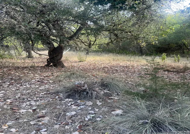 Photo 3 of Land for sale at 575 Burning Tree, Bandera, TX 78003 | MLS# 1917731 | Listing updated on 2025-11-03