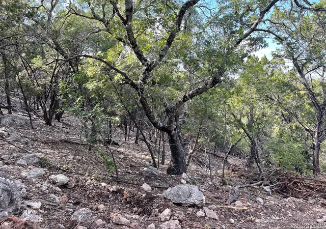 15th image of Tbd W 36th, Pipecreek, TX 78063 | MLS# 1917807