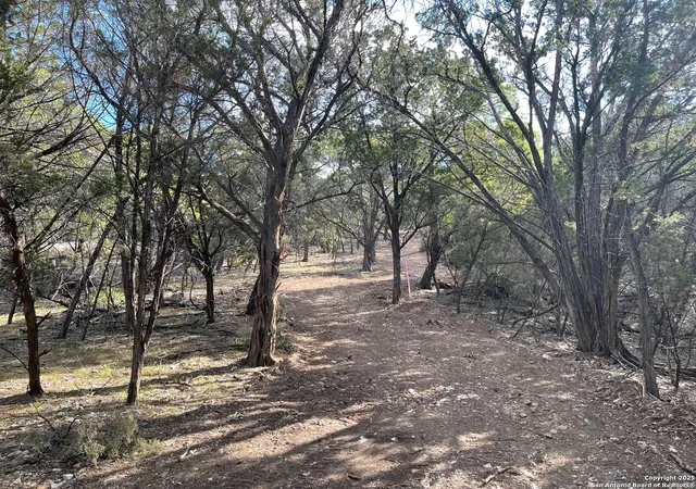 3rd image of Tbd W 36Th, Pipecreek, TX 78063 | MLS# 1917807