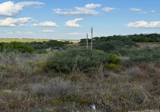 2nd image of 142 Gadwall Way, Spring Branch, TX 78070 | MLS# 1917837