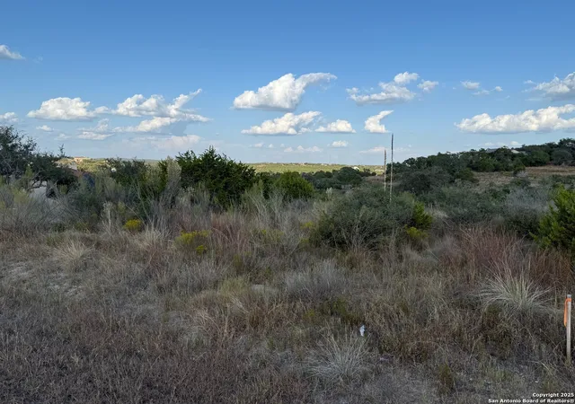 3rd image of 142 Gadwall Way, Spring Branch, TX 78070 | MLS# 1917837