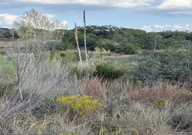 4th image of 142 Gadwall Way, Spring Branch, TX 78070 | MLS# 1917837