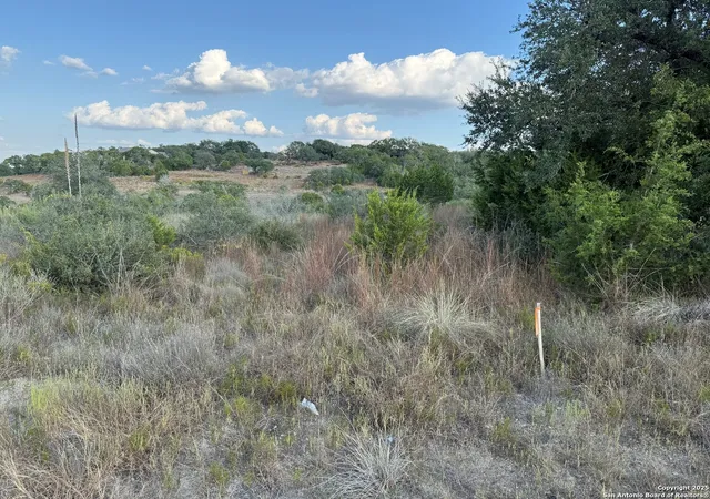 5th image of 142 Gadwall Way, Spring Branch, TX 78070 | MLS# 1917837