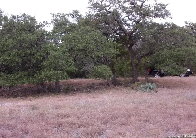 Photo 2 of Sale Pending at 484 Havasu, Spring Branch, TX 78070 | MLS# 1918238 | Listing updated on 2025-11-03