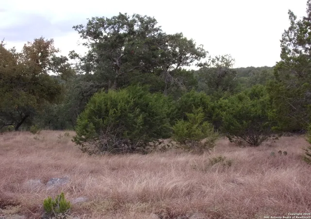 Photo 3 of Sale Pending at 484 Havasu, Spring Branch, TX 78070 | MLS# 1918238 | Listing updated on 2025-11-03