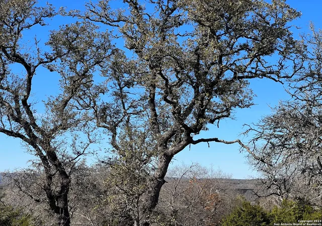 Photo 3 of Land for sale at Tbd Waring Welfare Rd, Waring, TX 78013 | MLS# 1918810 | Listing updated on 2025-11-08