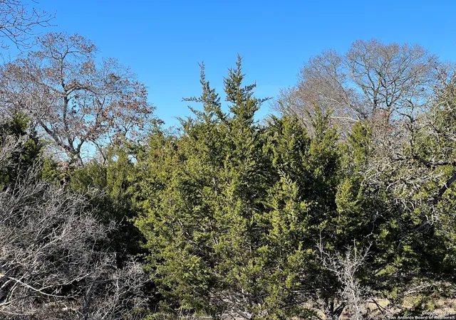 Photo 3 of Land for sale at Tbd Waring Welfare Rd, Waring, TX 78013 | MLS# 1918810 | Listing updated on 2025-11-08