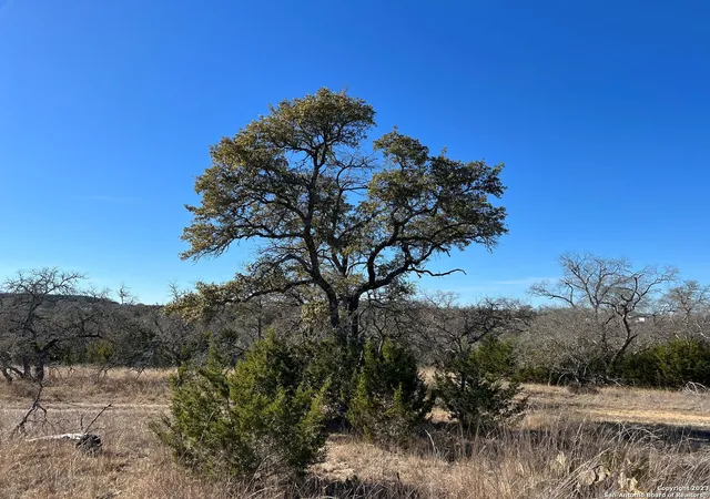 Photo 4 of Land for sale at Tbd Waring Welfare Rd, Waring, TX 78013 | MLS# 1918810 | Listing updated on 2025-11-08