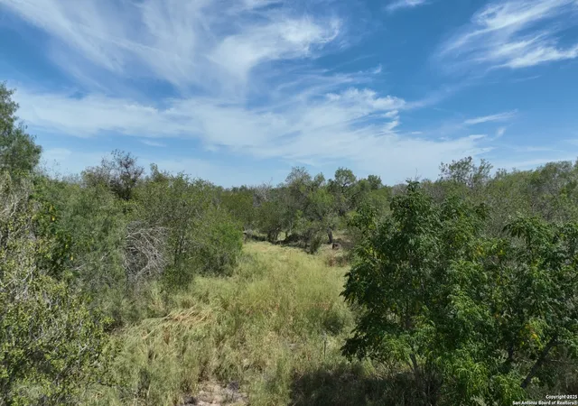Photo 4 of Land for sale at 0000 Cr 163, Elmendorf, TX 78112 | MLS# 1918948 | Listing updated on 2025-12-13