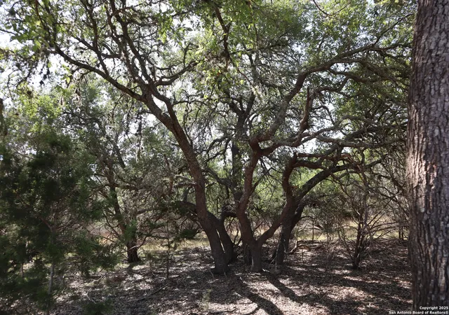 Photo 4 of Sale Pending at Lot 502 Buckskin Tr, Bandera, TX 78003 | MLS# 1919039 | Listing updated on 2026-02-24
