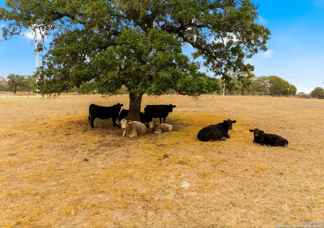 23rd image of 101 County Road 319, La Vernia, TX 78121 | MLS# 1919056