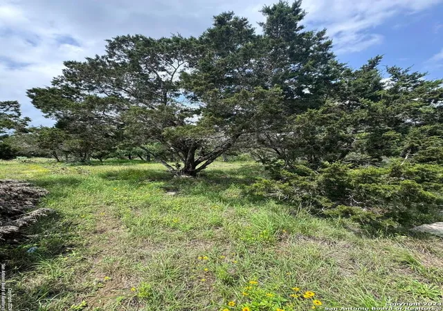 Photo 3 of Land for sale at 248 Wren Cir, Spring Branch, TX 78070 | MLS# 1919619 | Listing updated on 2025-11-11