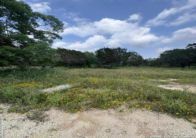 Photo 4 of Land for sale at 262 Wren Cir, Spring Branch, TX 78070 | MLS# 1919620 | Listing updated on 2025-11-11