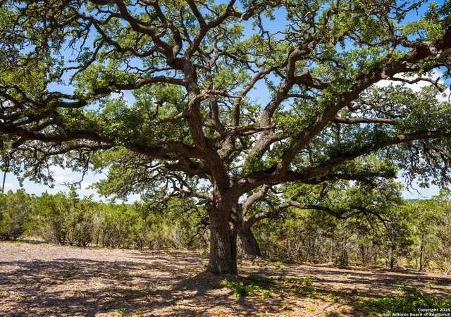 1st image of 000 Heritage Creek Ranch, Dripping Springs, TX 78620 | MLS# 1919632