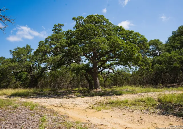 2nd image of 000 Heritage Creek Ranch, Dripping Springs, TX 78620 | MLS# 1919632