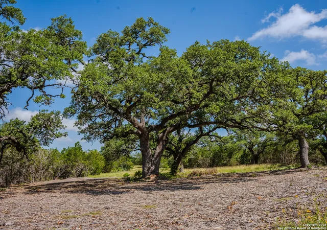5th image of 000 Heritage Creek Ranch, Dripping Springs, TX 78620 | MLS# 1919632