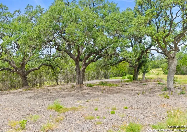 14th image of 000 Oak Valley Ranch, Dripping Springs, TX 78620 | MLS# 1919637