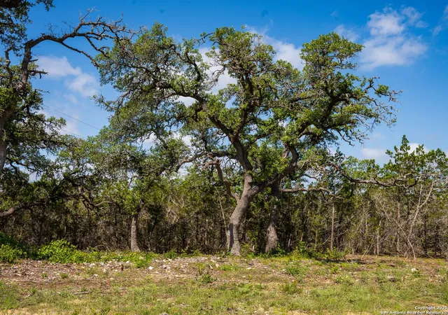 3rd image of 000 Oak Valley Ranch, Dripping Springs, TX 78620 | MLS# 1919637