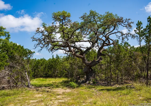 1st image of 000 Oak Valley Ranch, Dripping Springs, TX 78620 | MLS# 1919637