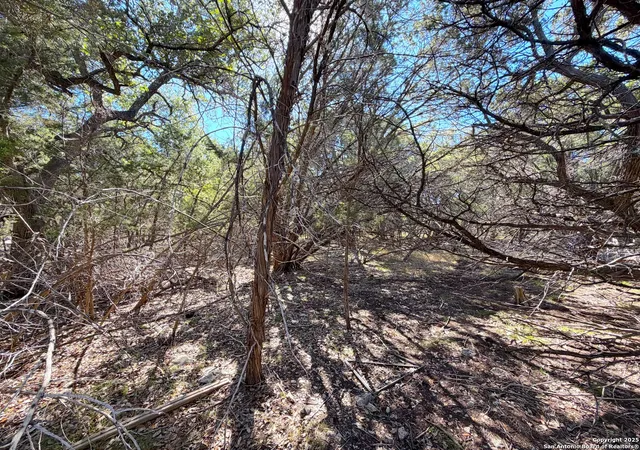 Photo 4 of Land for sale at 426 Clay, Canyon Lake, TX 78133 | MLS# 1919657 | Listing updated on 2026-08-15