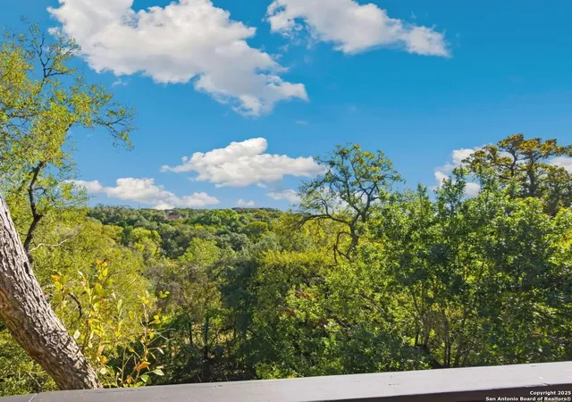 3rd image of 3119 Tanglewood, Spring Branch, TX 78070 | MLS# 1919849