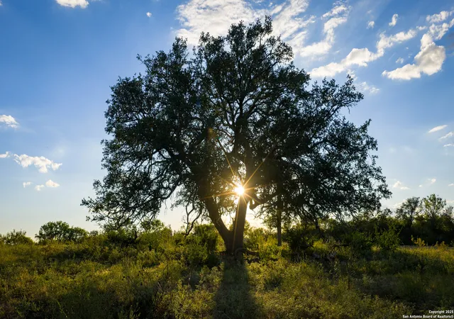 Photo 3 of Land for sale at 4350 Fm 1339, Kingsbury, TX 78638 | MLS# 1920265 | Listing updated on 2025-12-29