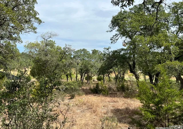 3rd image of Lot 29 Alberi, Boerne, TX 78006 | MLS# 1920367