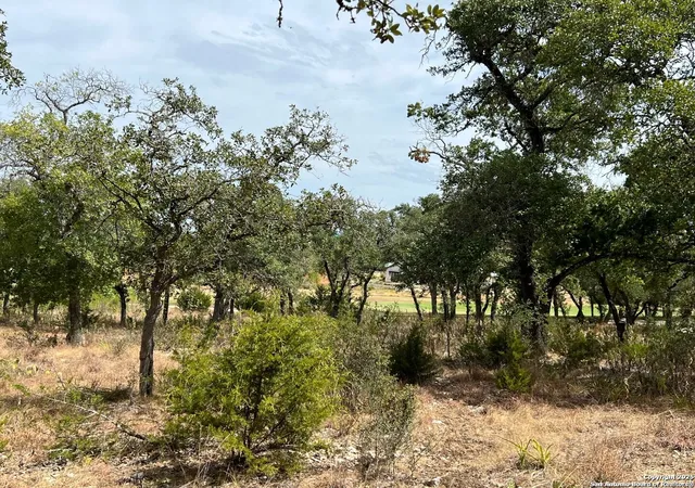 4th image of Lot 29 Alberi, Boerne, TX 78006 | MLS# 1920367