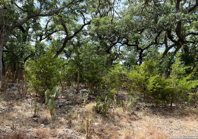5th image of Lot 29 Alberi, Boerne, TX 78006 | MLS# 1920367
