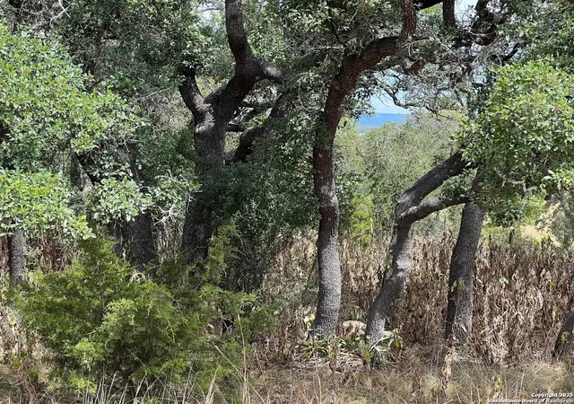 7th image of Lot 29 Alberi, Boerne, TX 78006 | MLS# 1920367