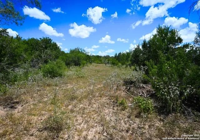 3rd image of 000 Cr 342, Beeville, TX 78102 | MLS# 1920563