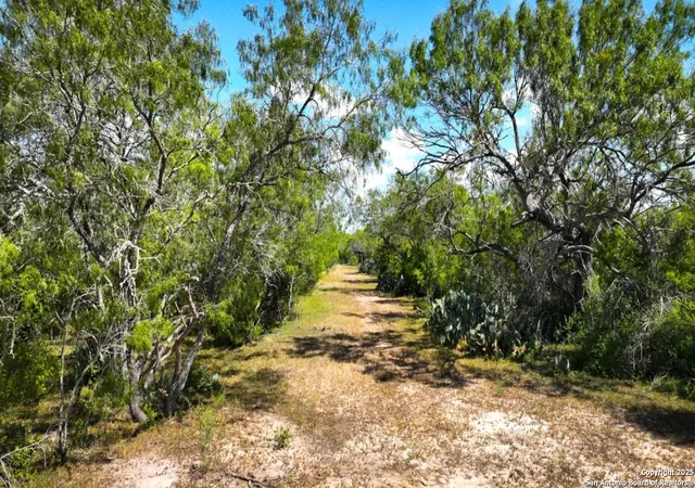 5th image of 000 Cr 342, Beeville, TX 78102 | MLS# 1920563